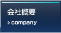 ЊTv